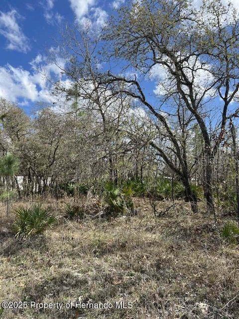 10180 ZEBRAFINCH AVE, WEEKI WACHEE, FL — photo 5