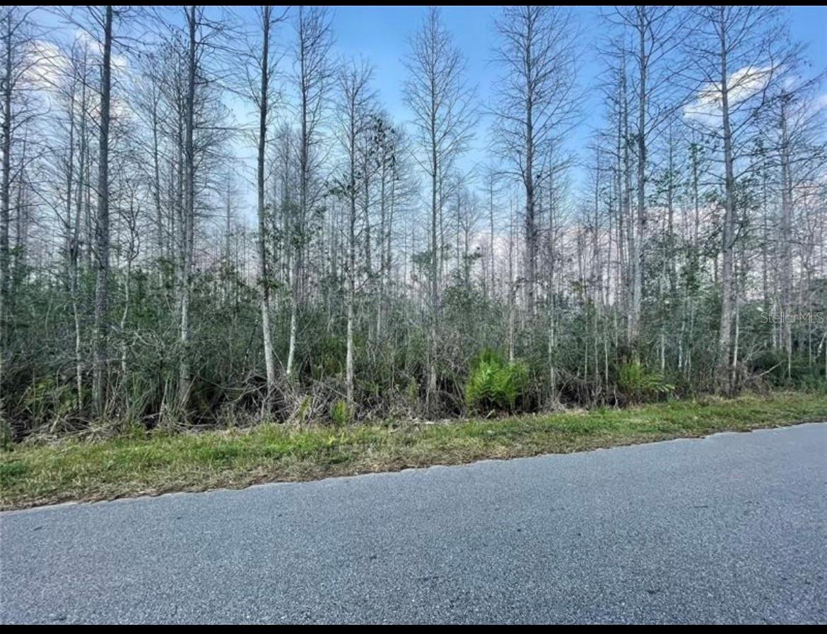 LUNA DR, ST CLOUD, FL