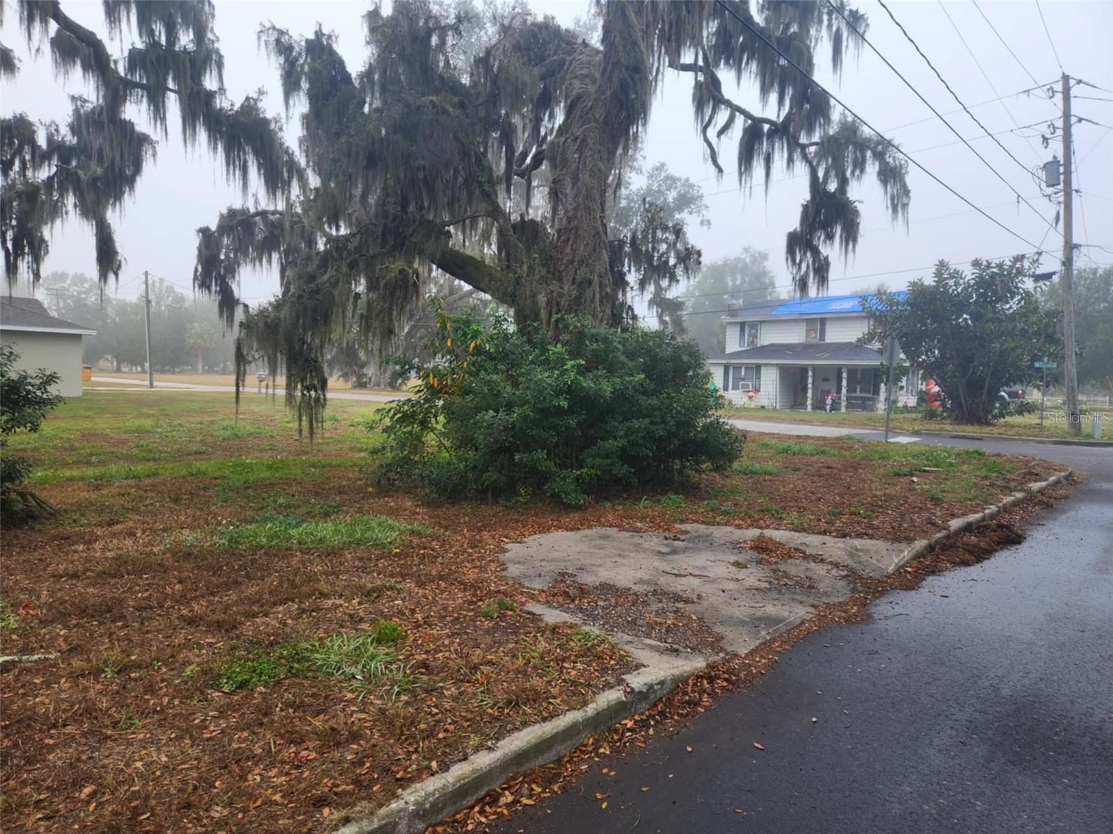 795 W VINE ST, BARTOW, FL — photo 5