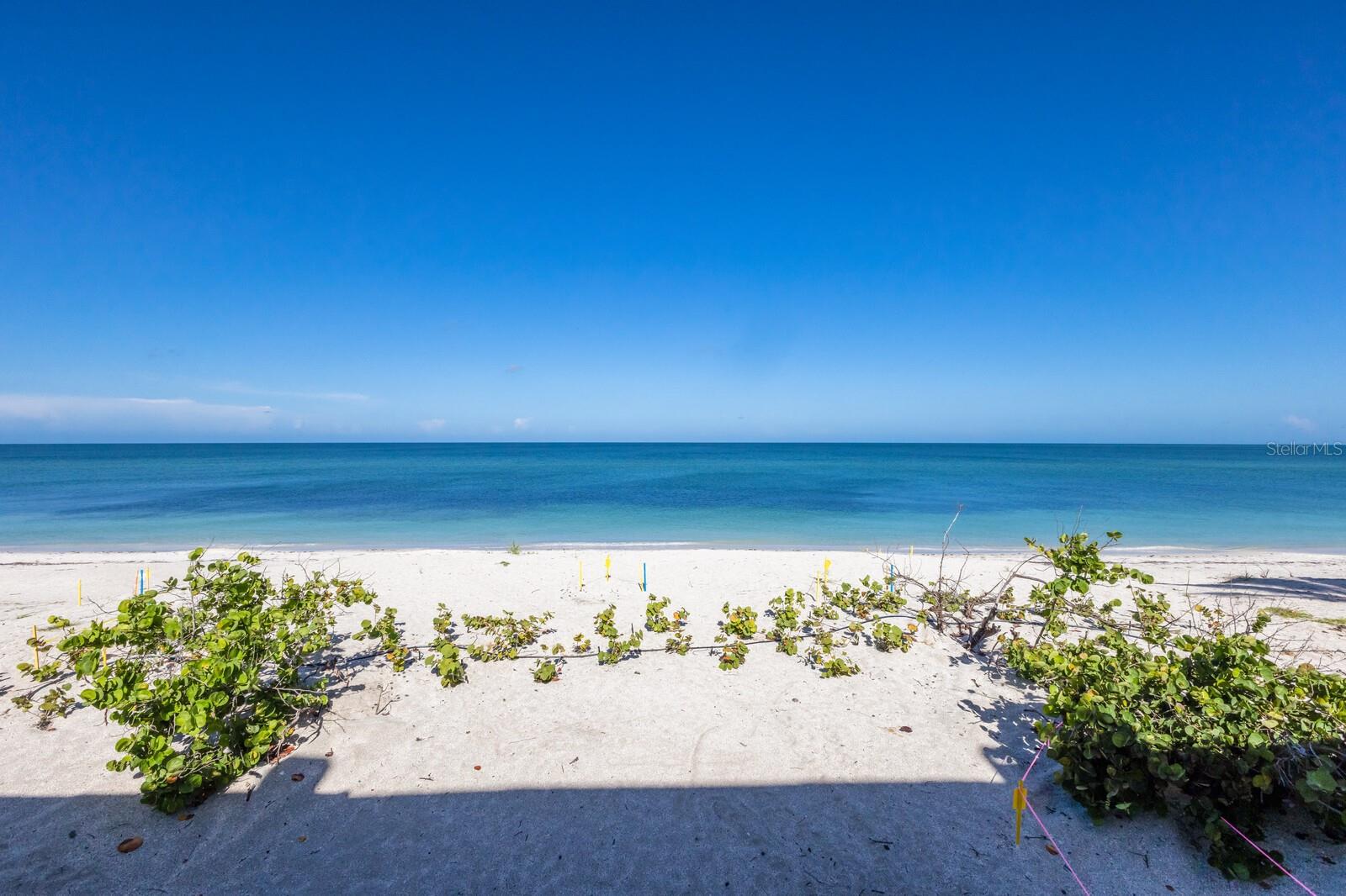 2031 SHORE LN, BOCA GRANDE, FL — photo 83
