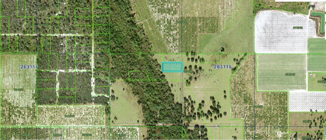 MILLS RD, FORT MEADE, FL — photo 3