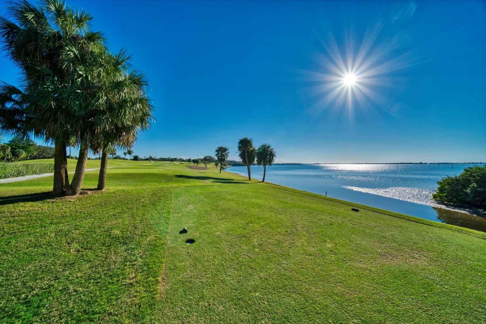 6 BELLEVIEW BLVD #105, BELLEAIR, FL — photo 48