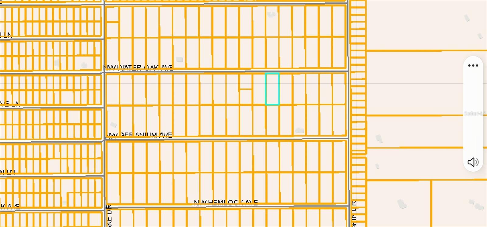 Lot 13 NW WATER OAK AVENUE, DUNNELLON, FL — photo 2