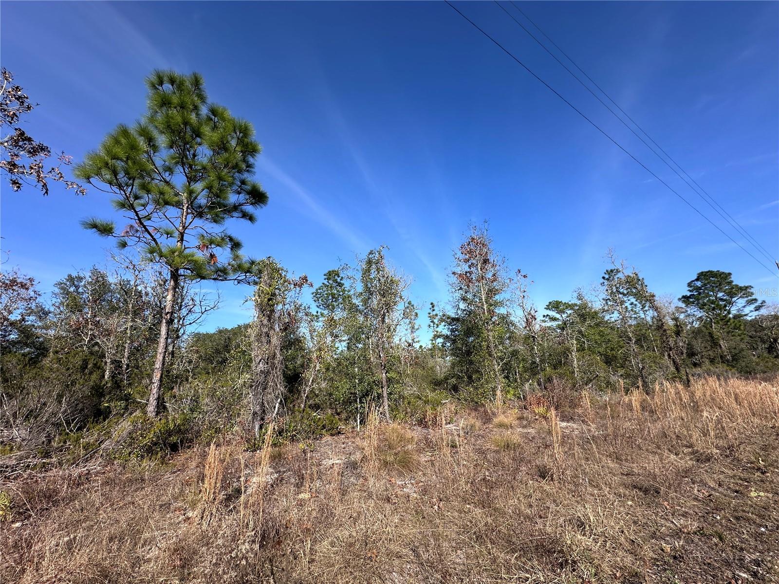 tbd NE 117TH TER, WILLISTON, FL