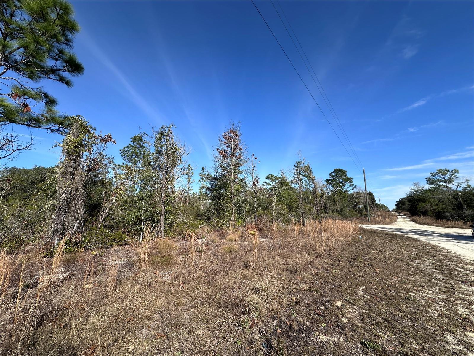 tbd NE 117TH TER, WILLISTON, FL — photo 3