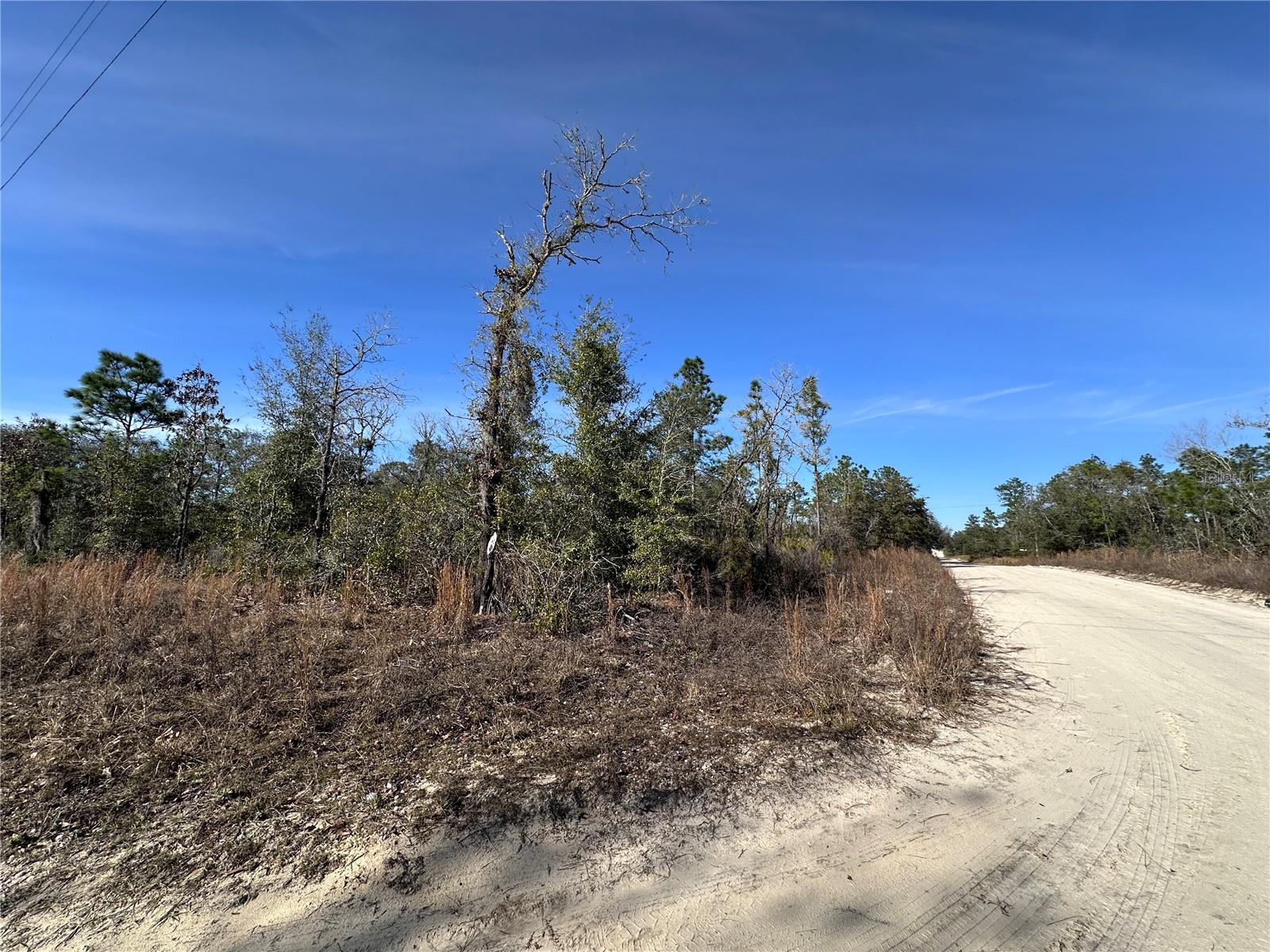 tbd NE 117TH TER, WILLISTON, FL — photo 7