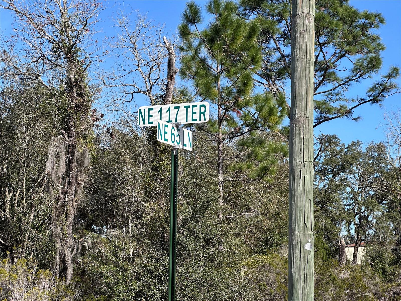 tbd NE 117TH TER, WILLISTON, FL — photo 9