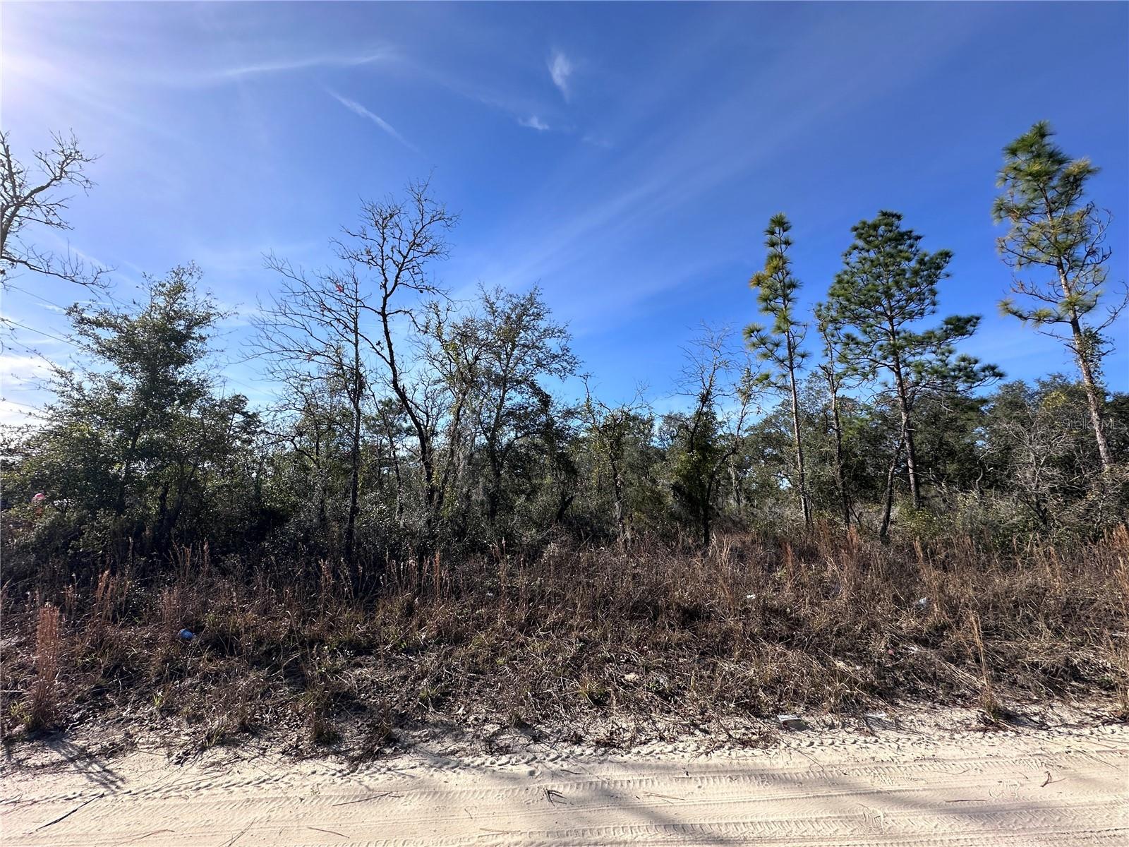 tbd NE 117TH TER, WILLISTON, FL — photo 12