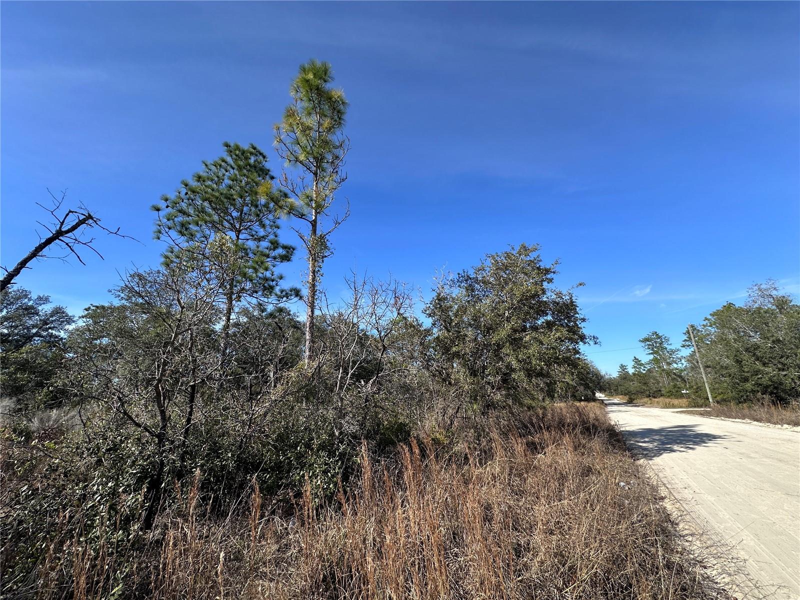tbd NE 117TH TER, WILLISTON, FL — photo 15