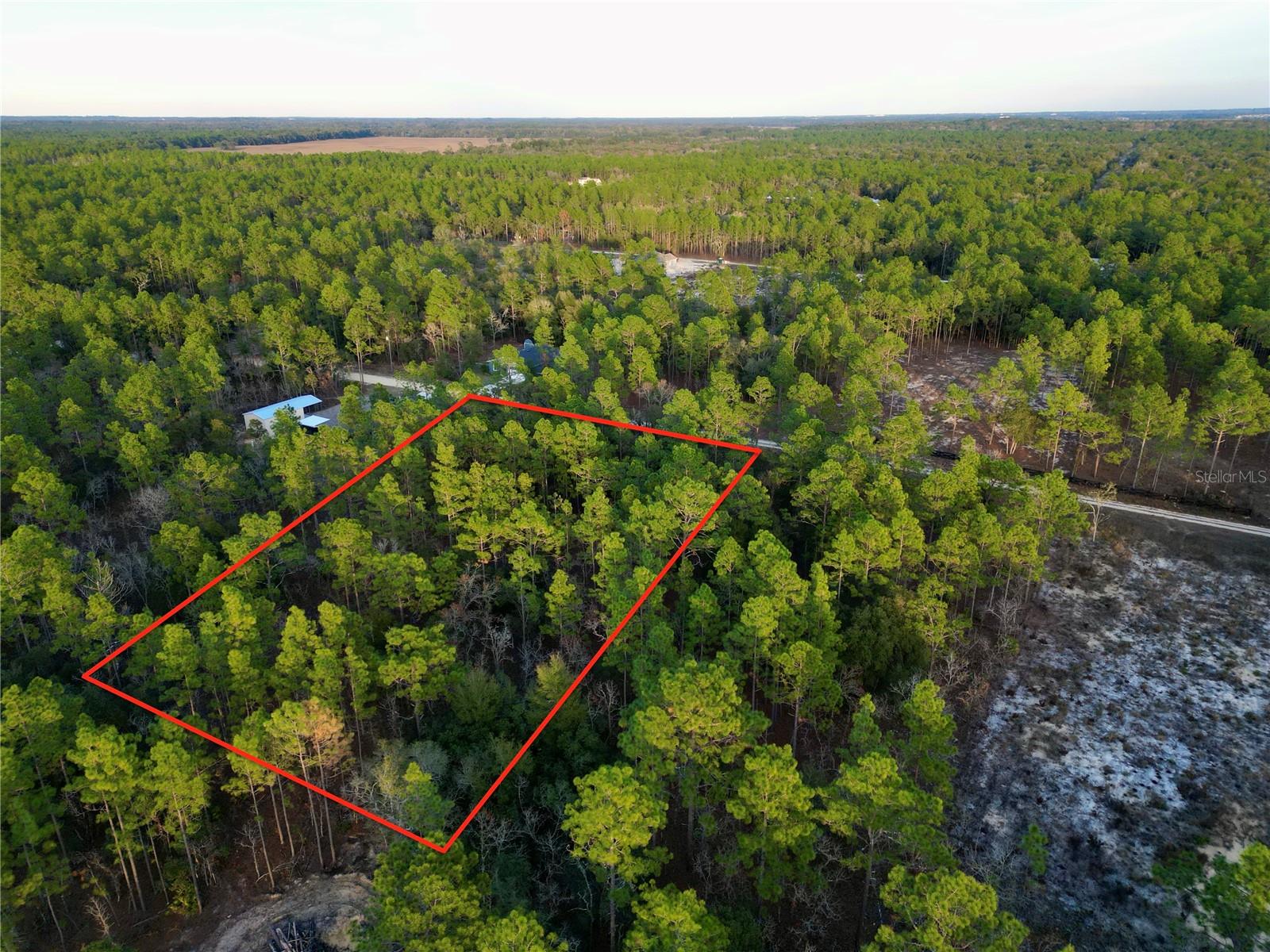 TBD SW 124TH TERRACE RD, OCALA, FL — photo 4