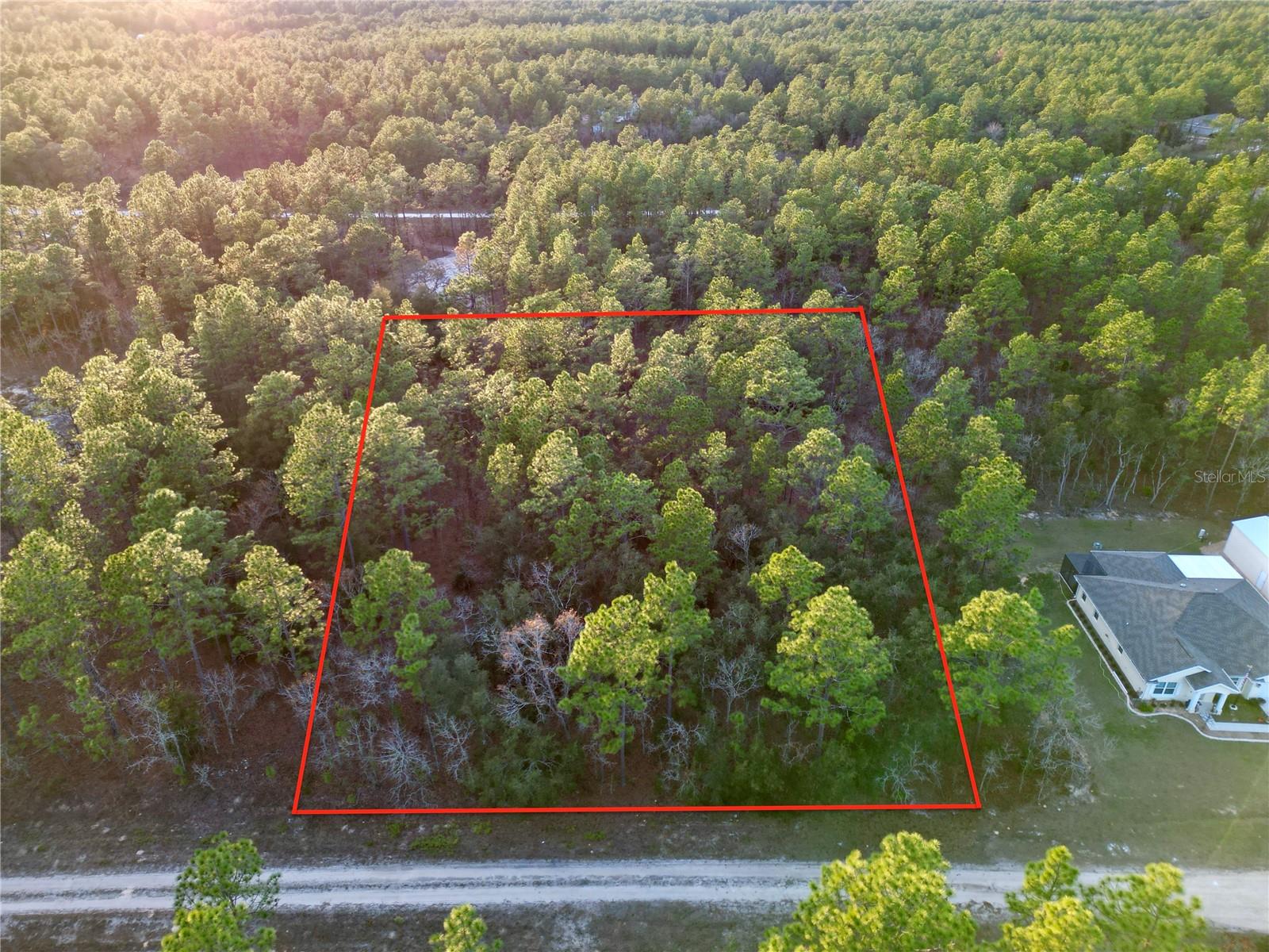 TBD SW 124TH TERRACE RD, OCALA, FL — photo 5