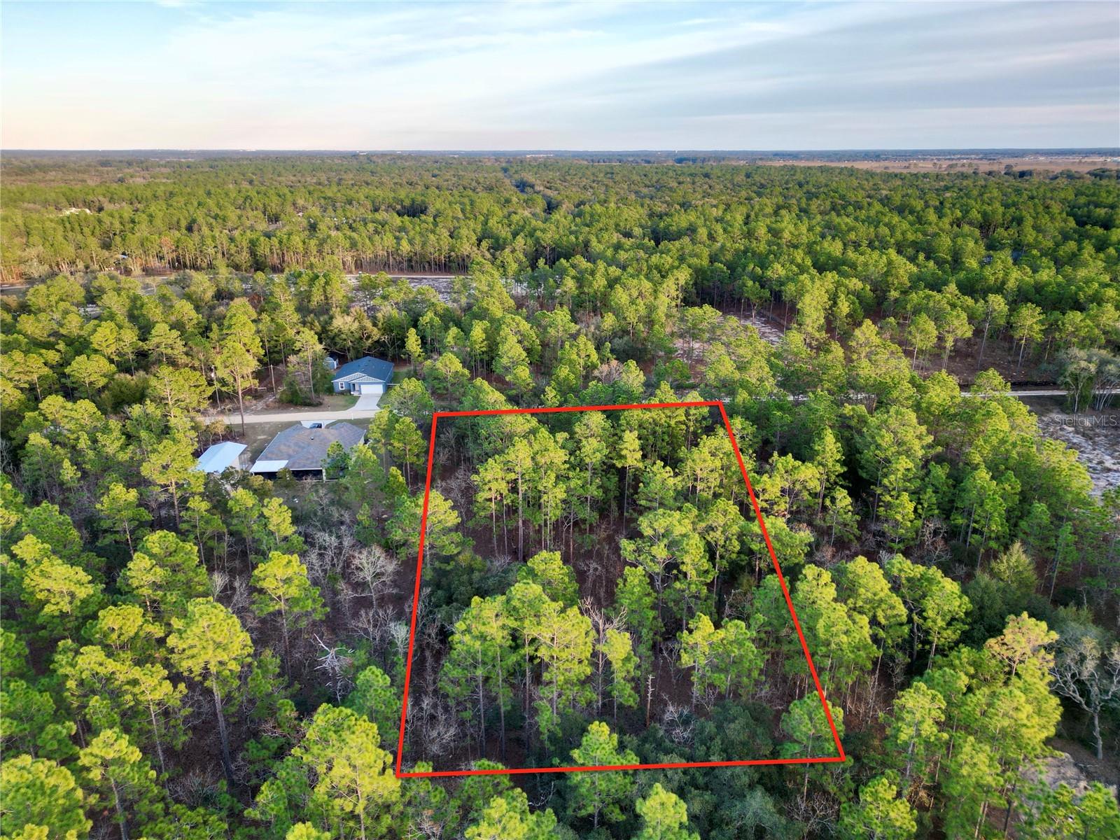 TBD SW 124TH TERRACE RD, OCALA, FL — photo 6