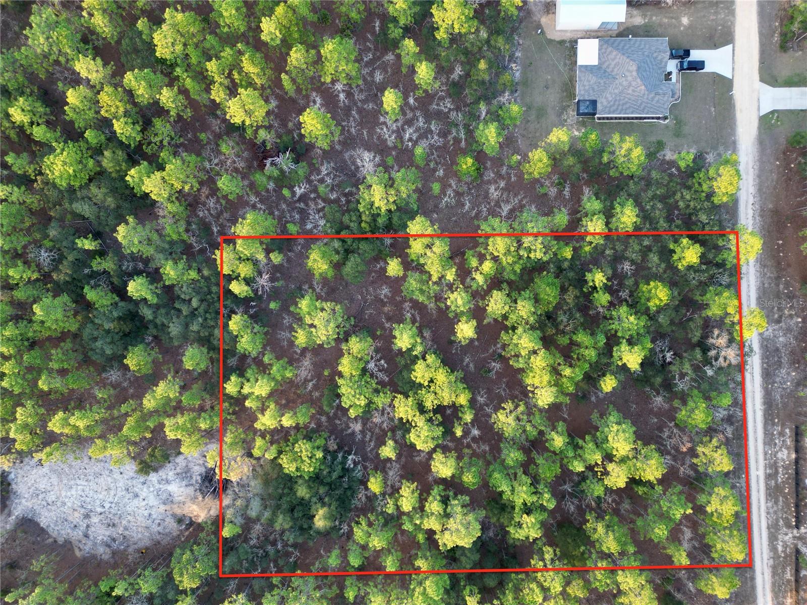 TBD SW 124TH TERRACE RD, OCALA, FL — photo 7
