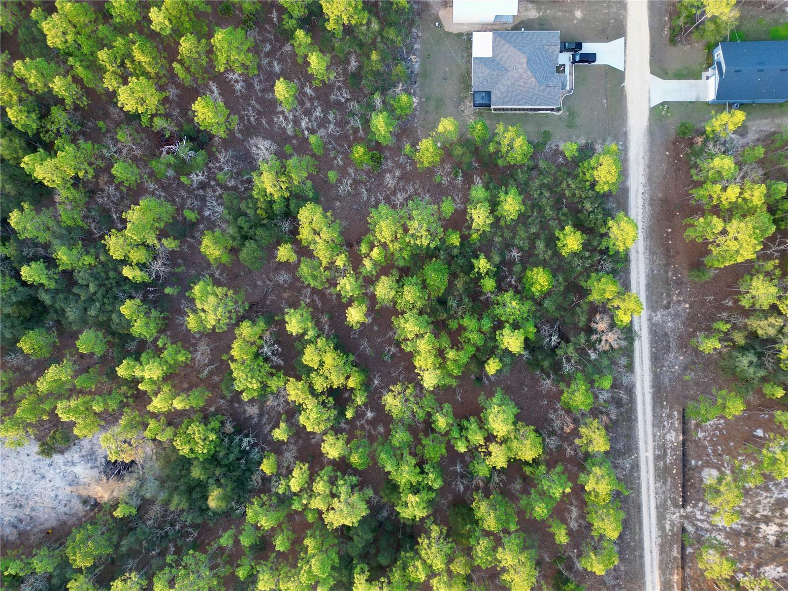 TBD SW 124TH TERRACE RD, OCALA, FL — photo 9