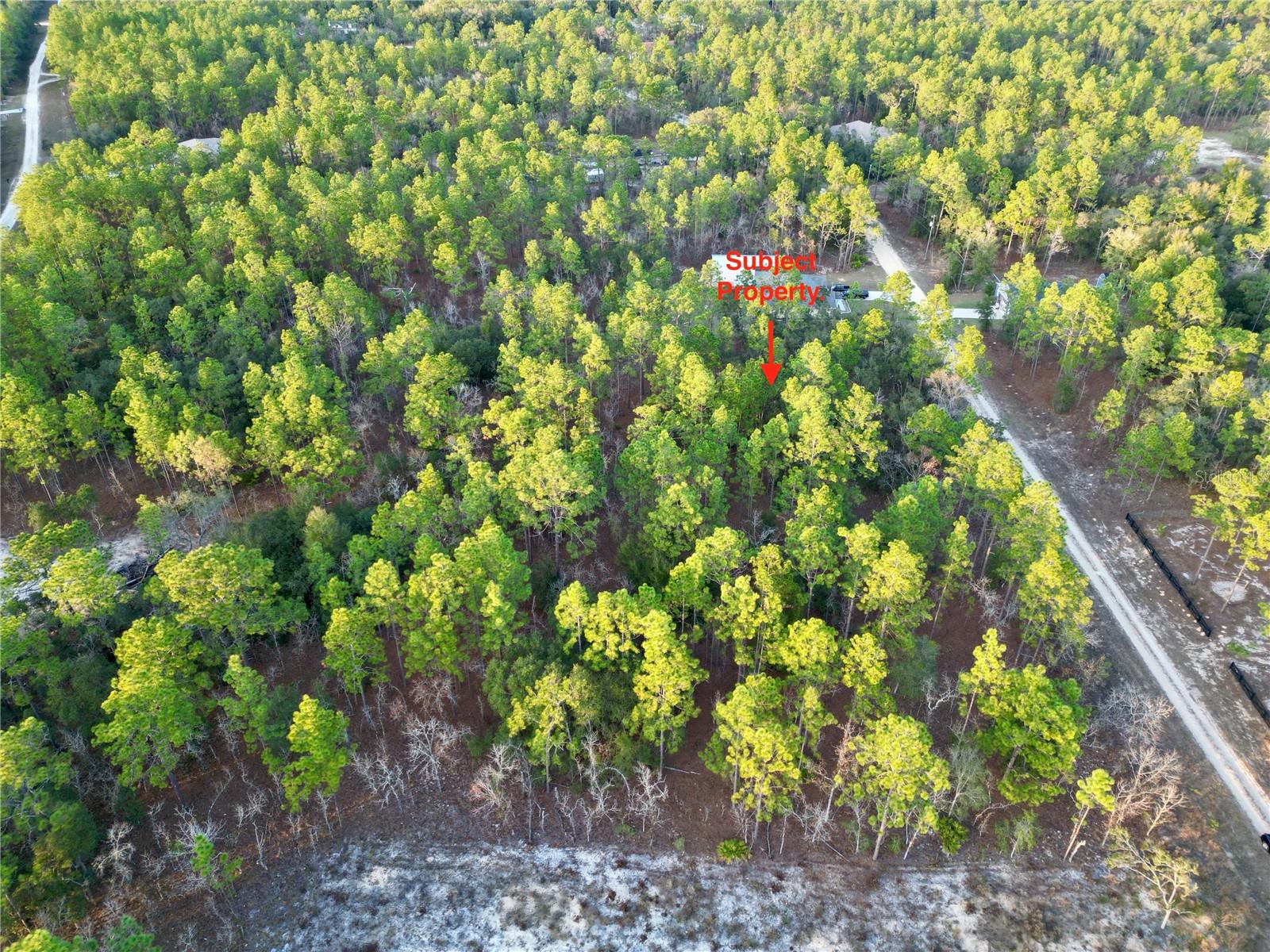 TBD SW 124TH TERRACE RD, OCALA, FL — photo 10