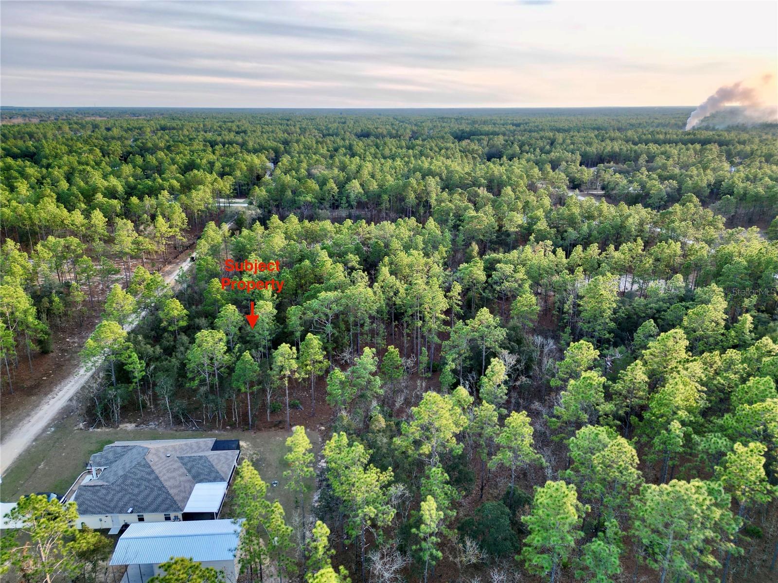 TBD SW 124TH TERRACE RD, OCALA, FL — photo 11