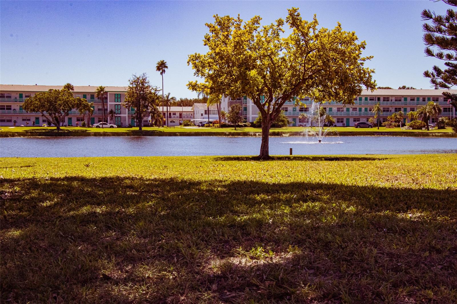 5876 21ST ST N #3, ST PETERSBURG, FL — photo 39
