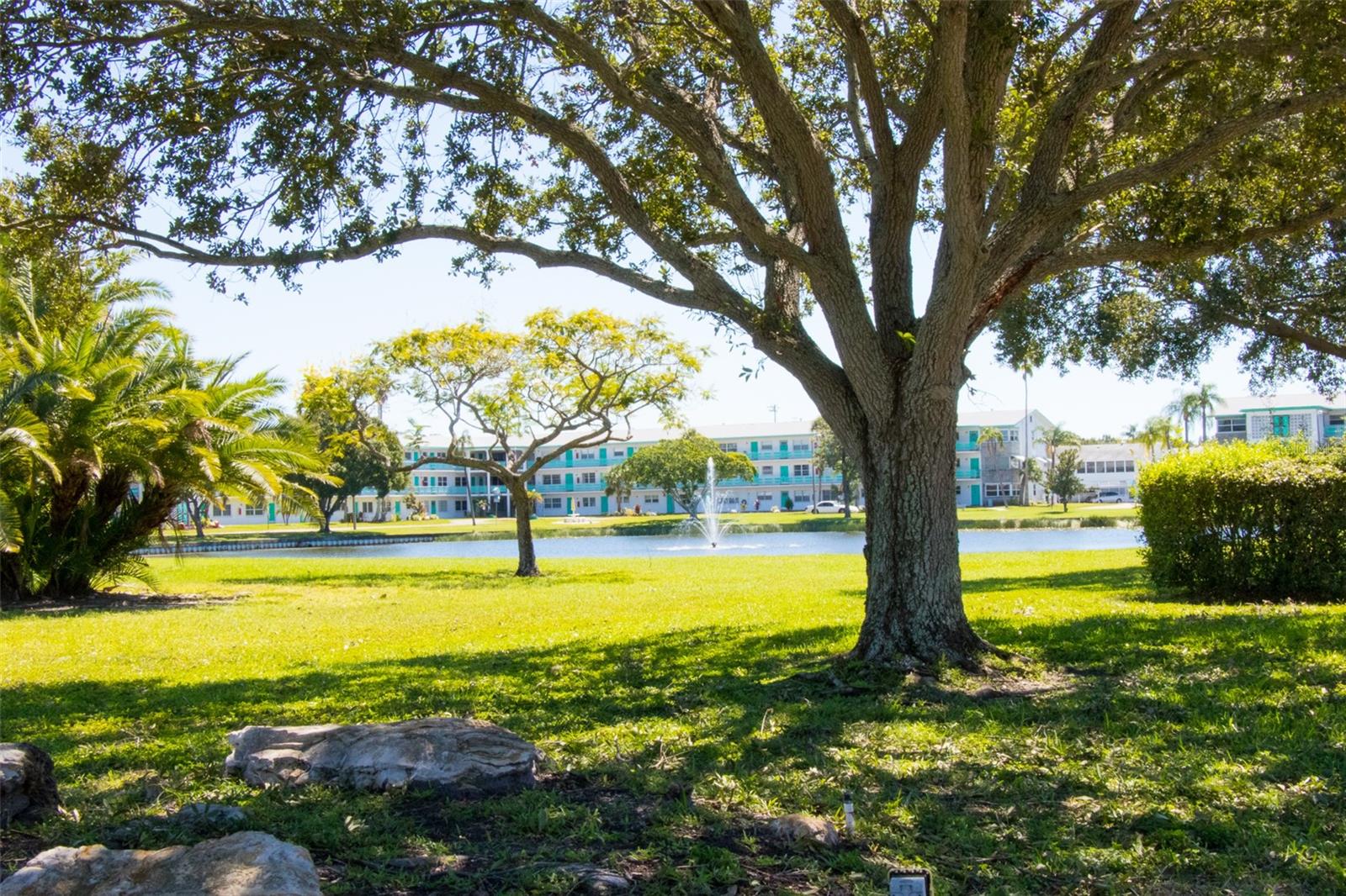 5876 21ST ST N #3, ST PETERSBURG, FL — photo 43