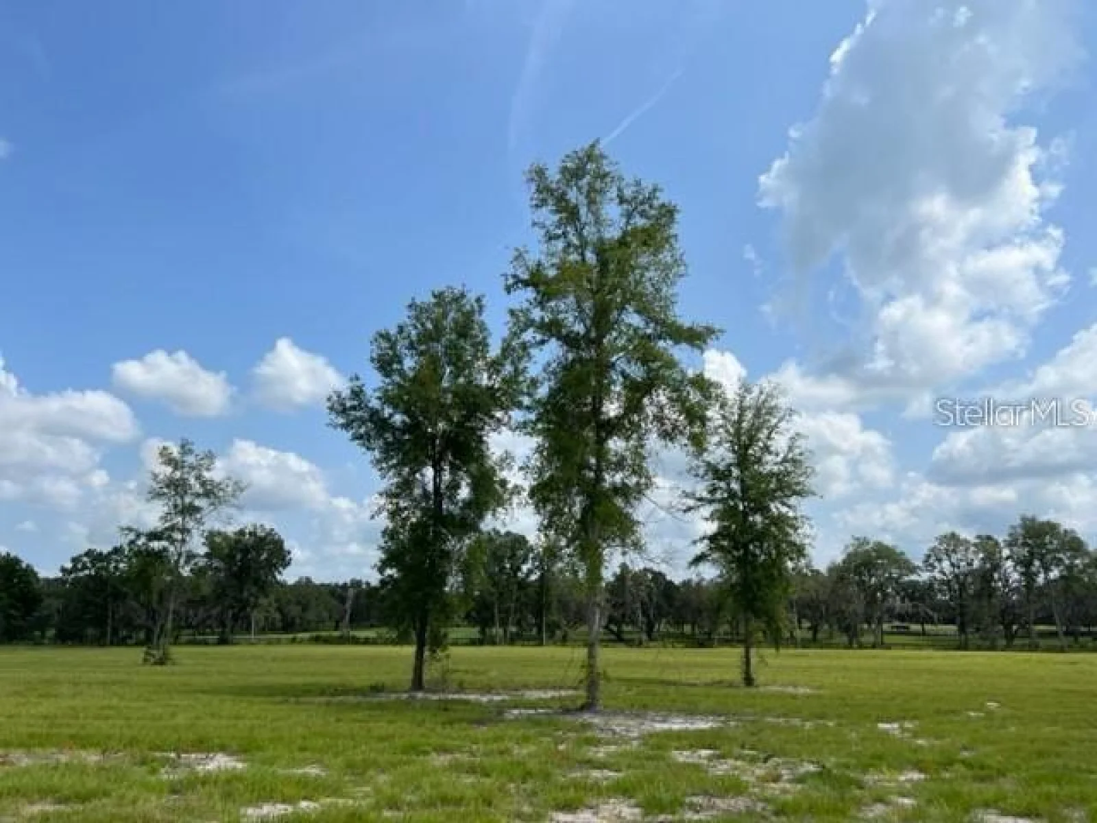 TBD NW 14TH ST. - LOT 5, OCALA, FL — photo 2