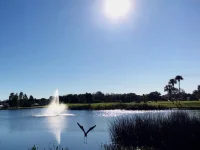 6505 STONE RIVER RD #202 — photo 39