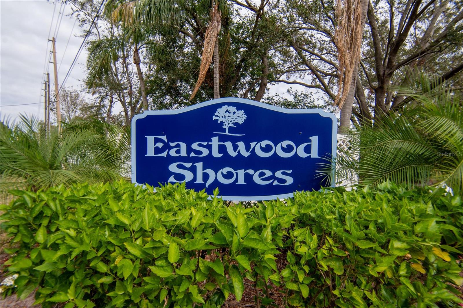 1849 BOUGH AVE #D, CLEARWATER, FL — photo 39