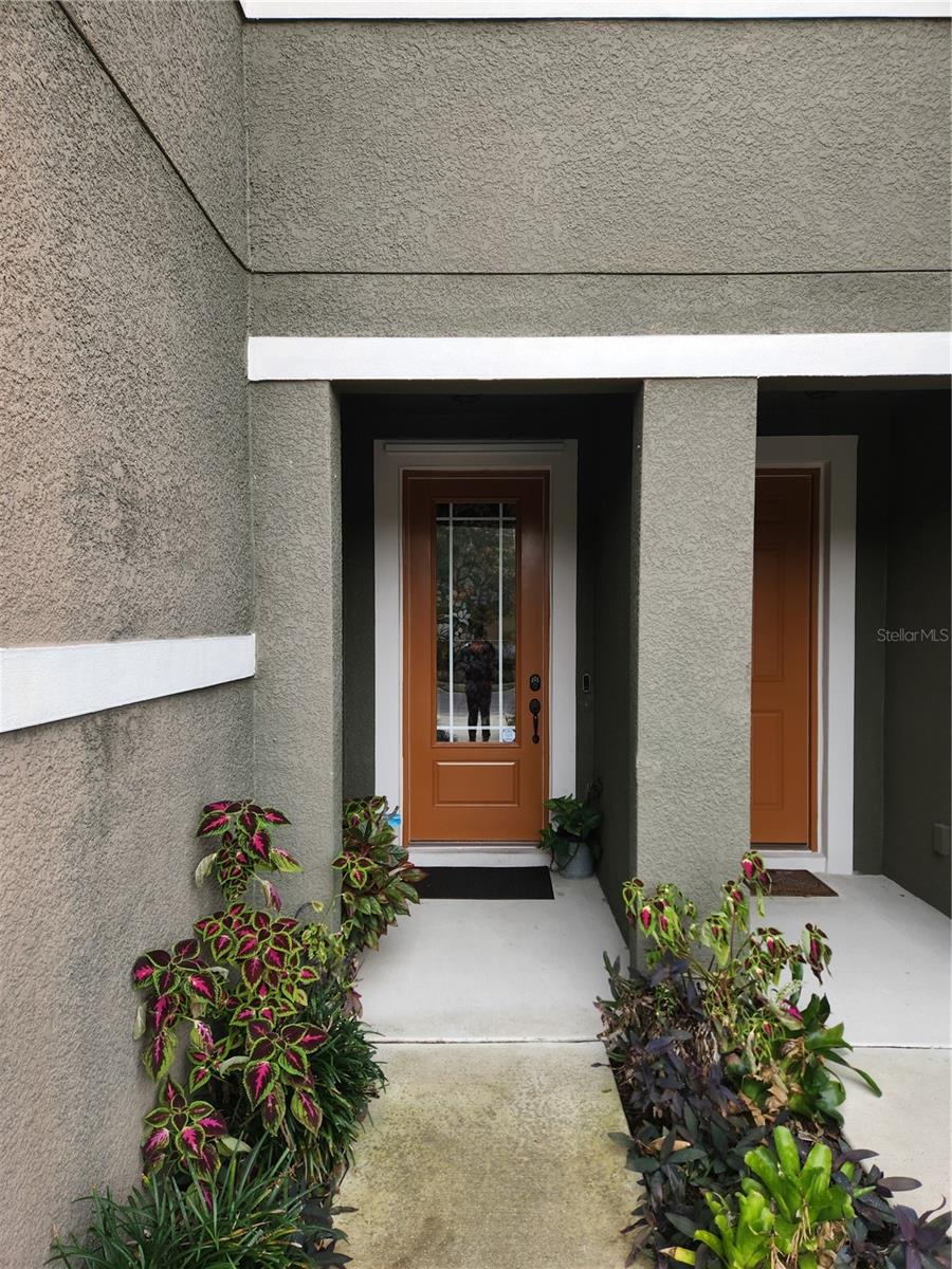 5508 VIOLA LEE WAY, LUTZ, FL — photo 3