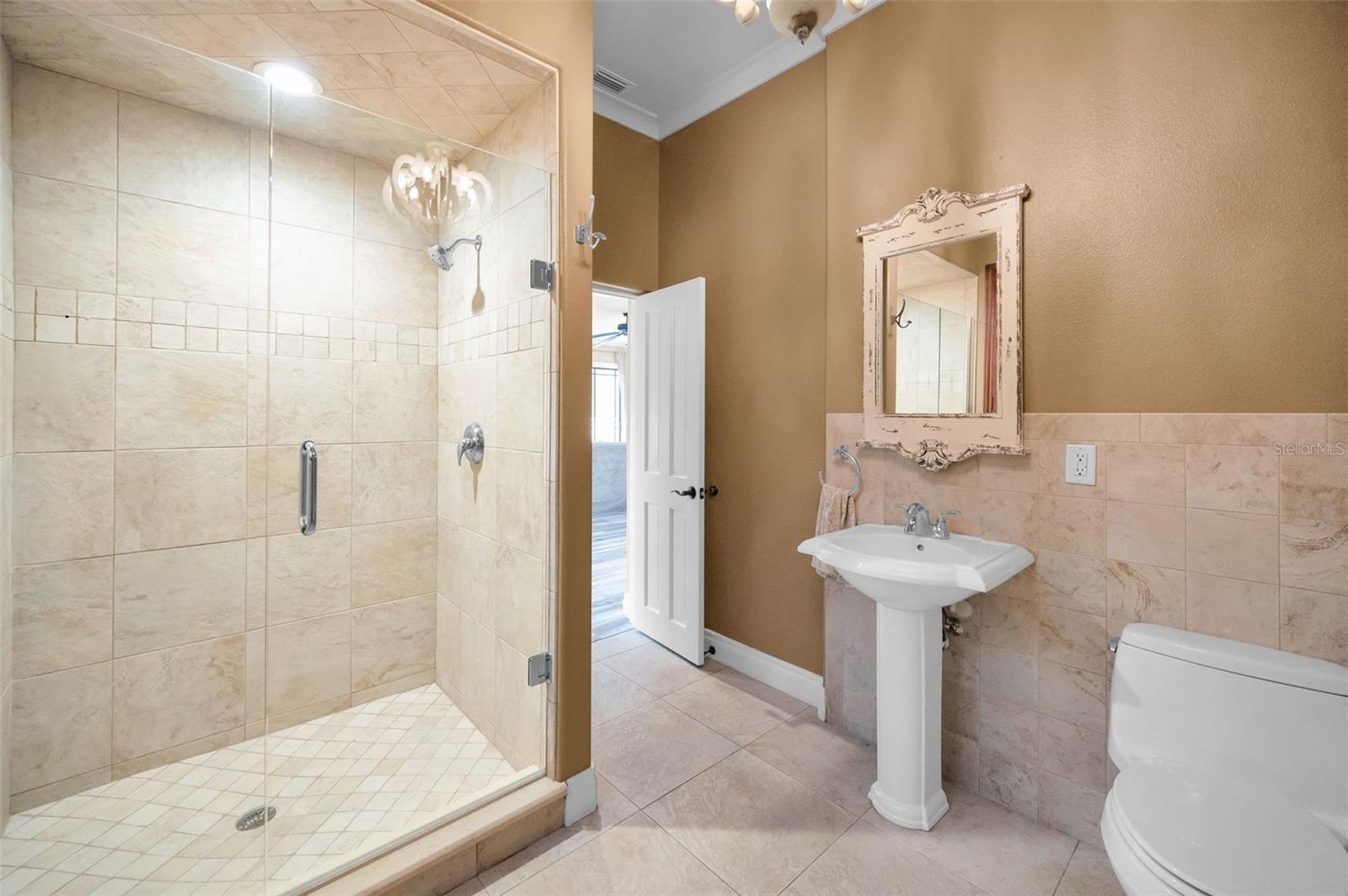 249 DOGWOOD TRCE, TARPON SPRINGS, FL — photo 40
