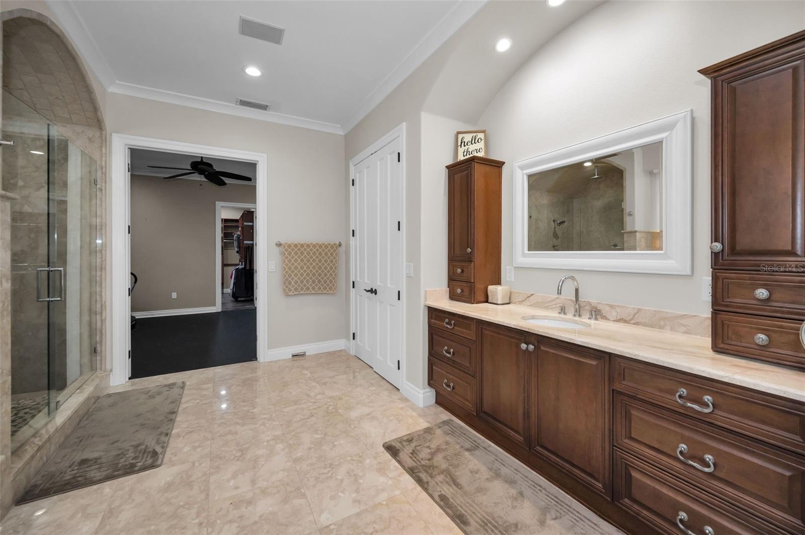 249 DOGWOOD TRCE, TARPON SPRINGS, FL — photo 47
