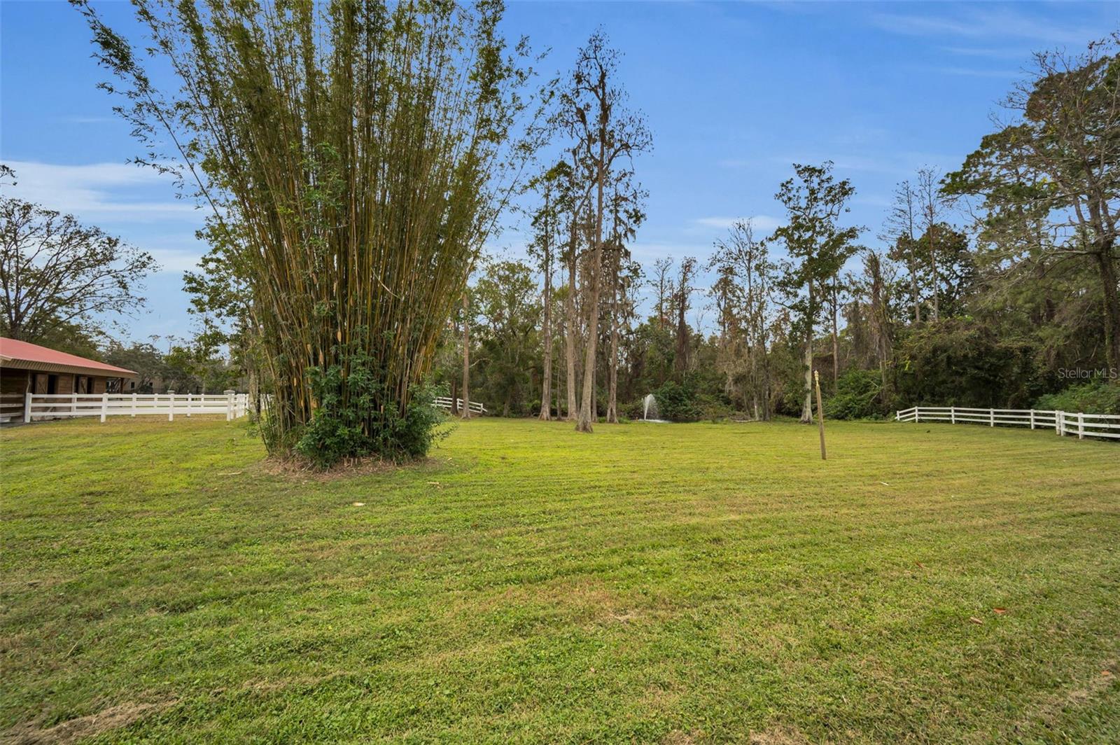 249 DOGWOOD TRCE, TARPON SPRINGS, FL — photo 85