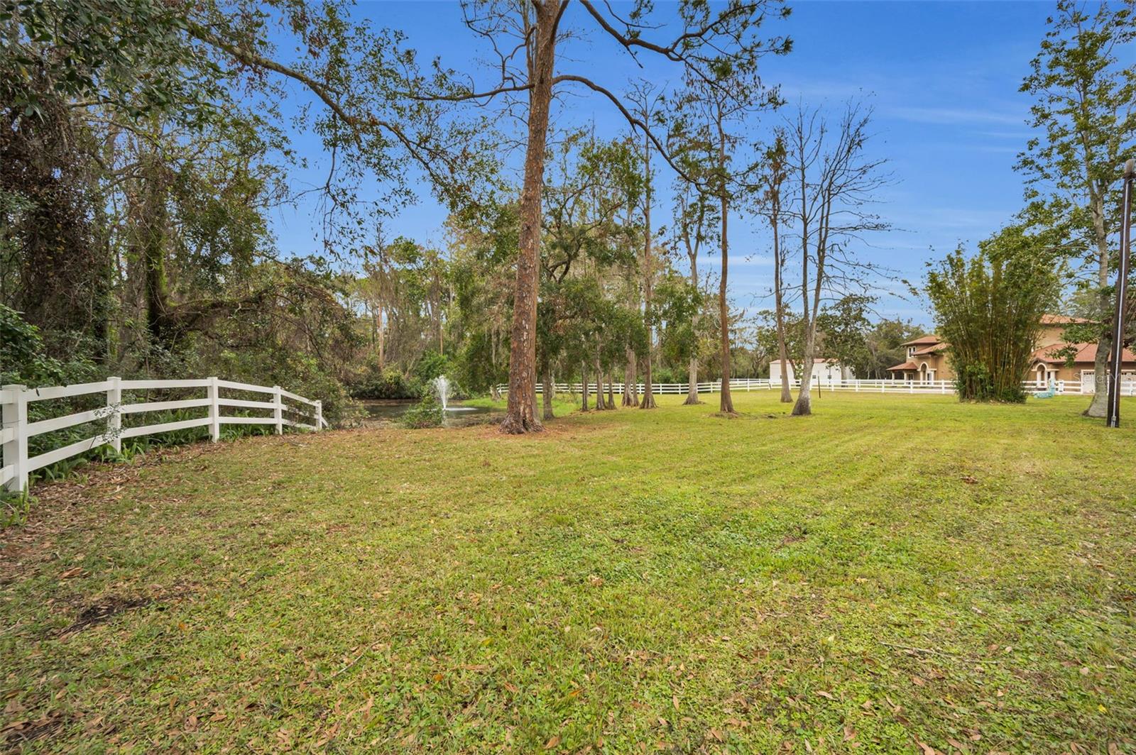 249 DOGWOOD TRCE, TARPON SPRINGS, FL — photo 86