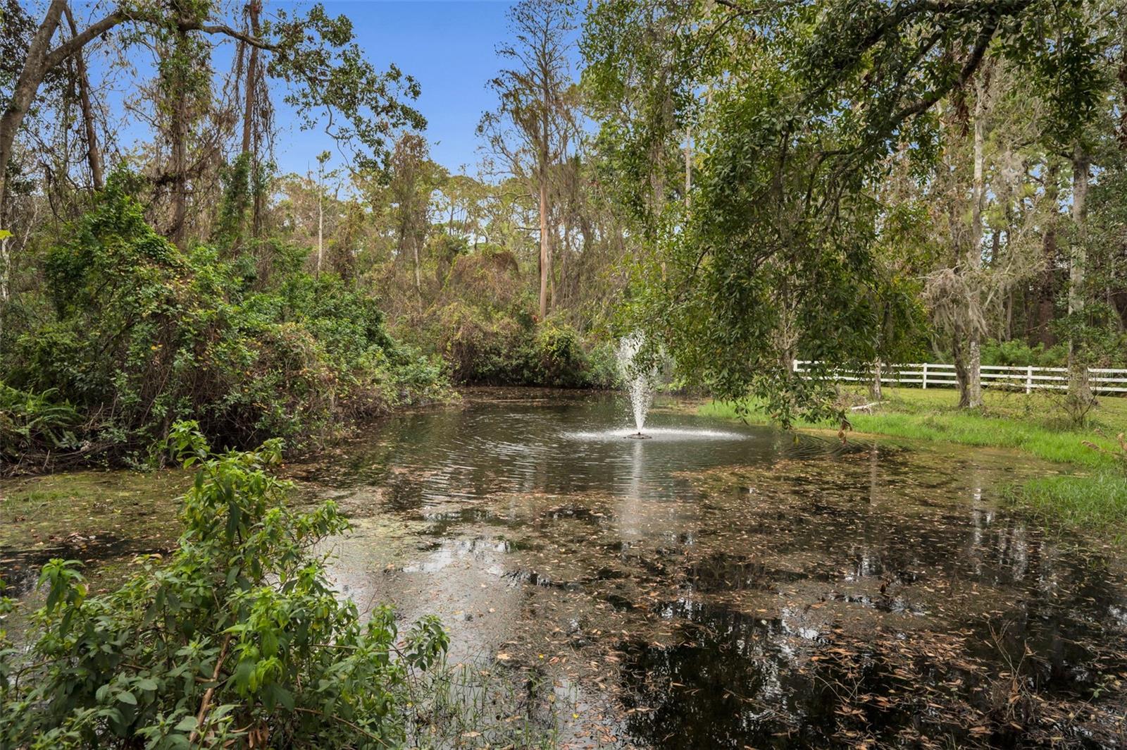 249 DOGWOOD TRCE, TARPON SPRINGS, FL — photo 87