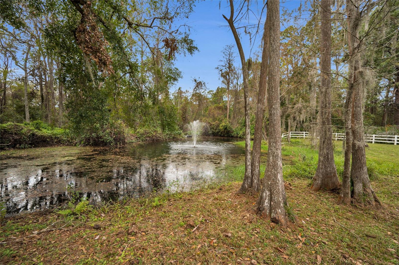 249 DOGWOOD TRCE, TARPON SPRINGS, FL — photo 88