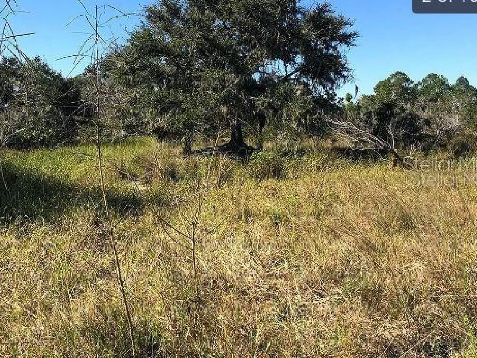 HWY 60 E, LAKE WALES, FL — photo 2
