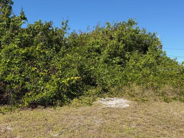 7361 BROOKHAVEN TER, ENGLEWOOD, FL — photo 3