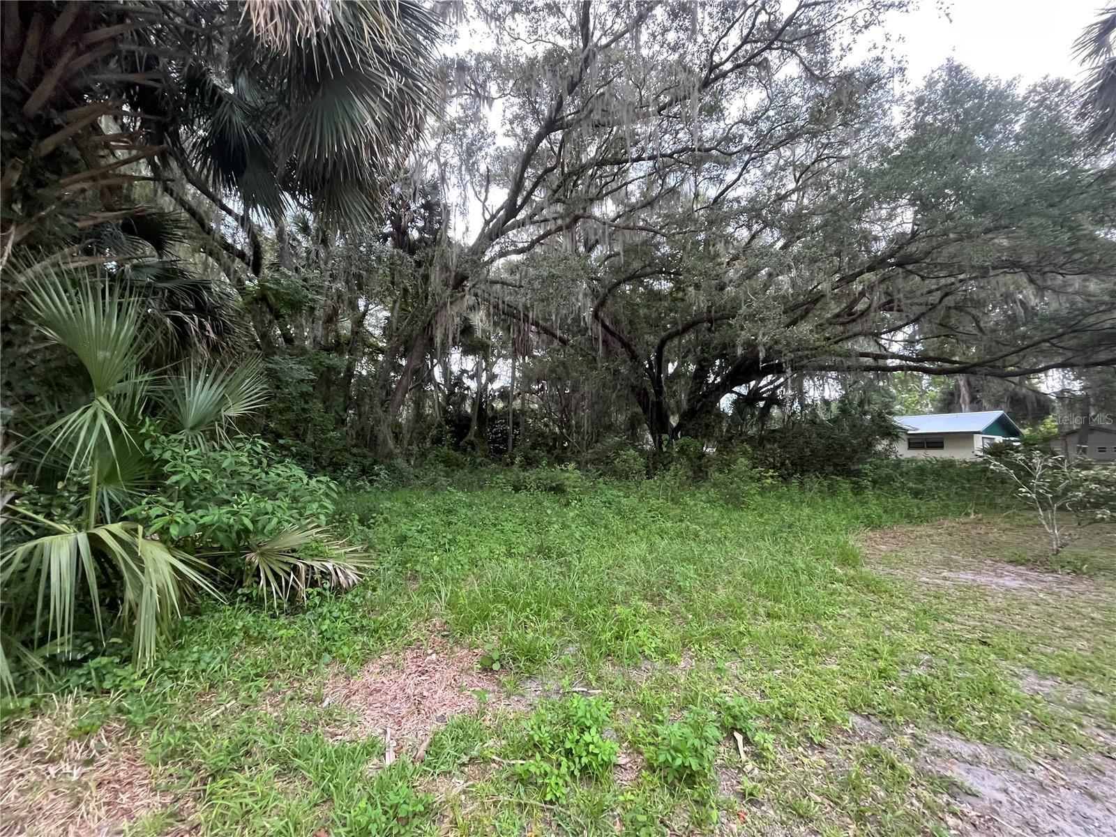 183RD AVE, HAWTHORNE, FL — photo 19