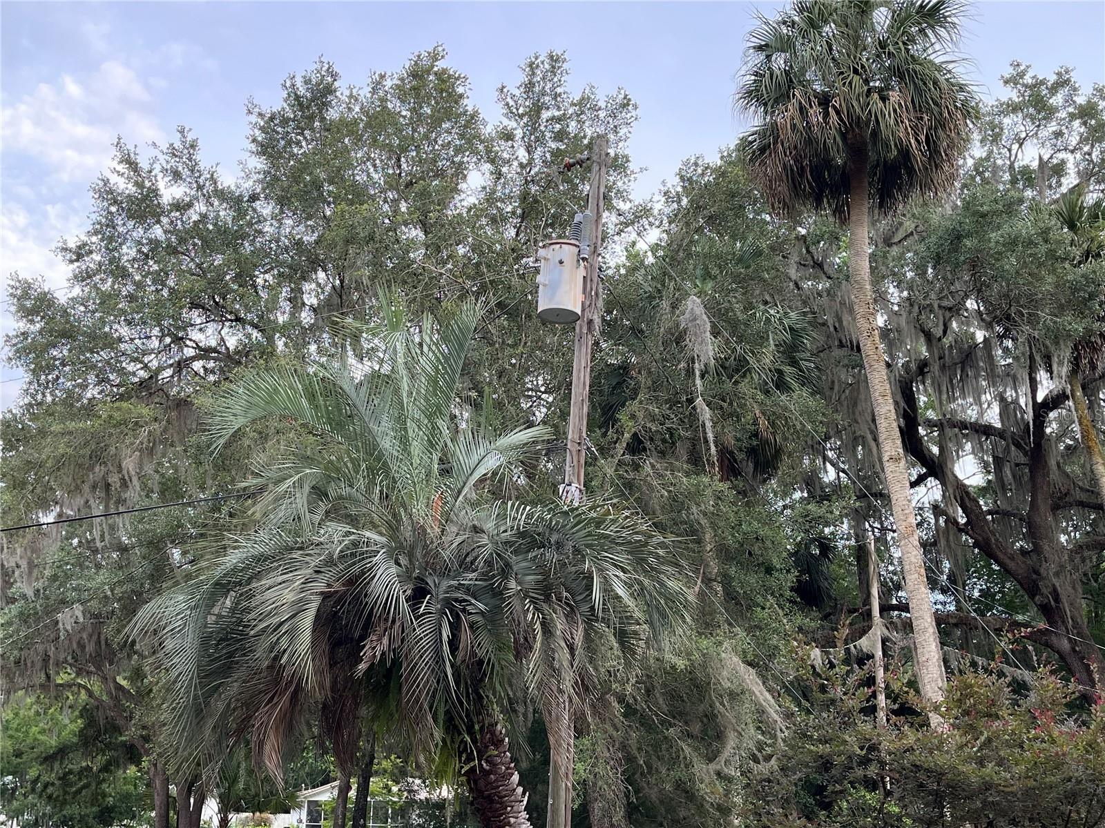 183RD AVE, HAWTHORNE, FL — photo 23