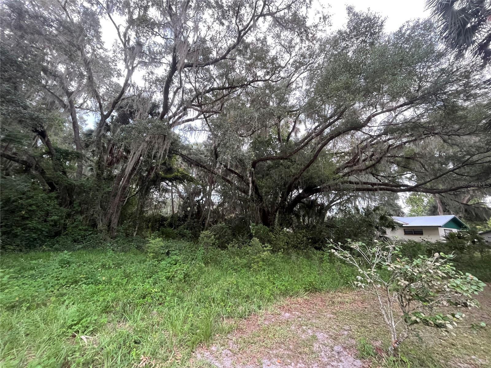 183RD AVE, HAWTHORNE, FL — photo 25