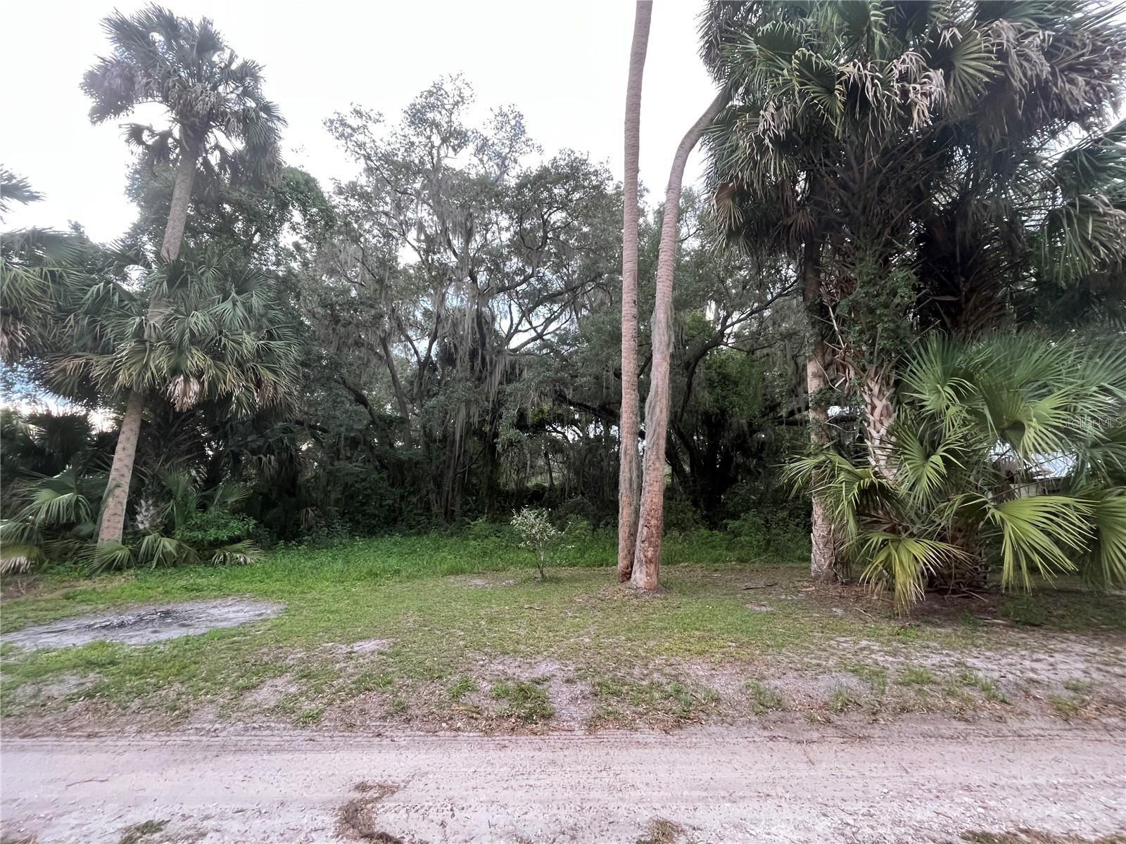 183RD AVE, HAWTHORNE, FL — photo 28
