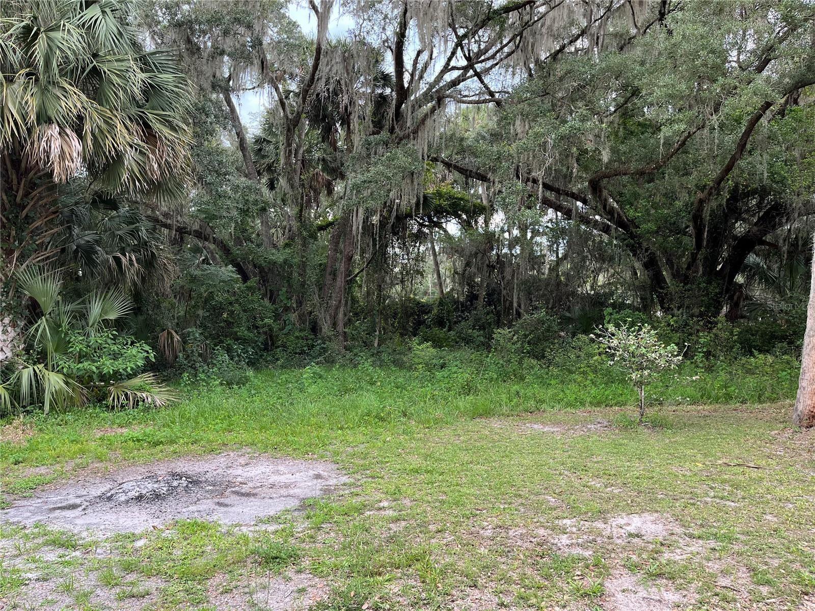 183RD AVE, HAWTHORNE, FL — photo 31
