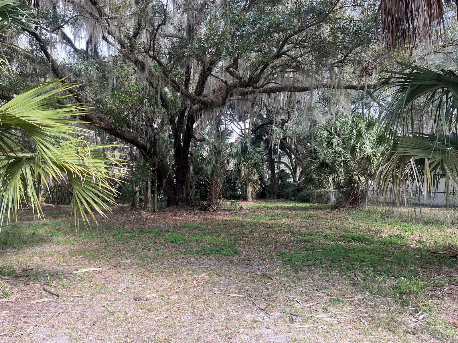 183RD AVE, HAWTHORNE, FL — photo 7