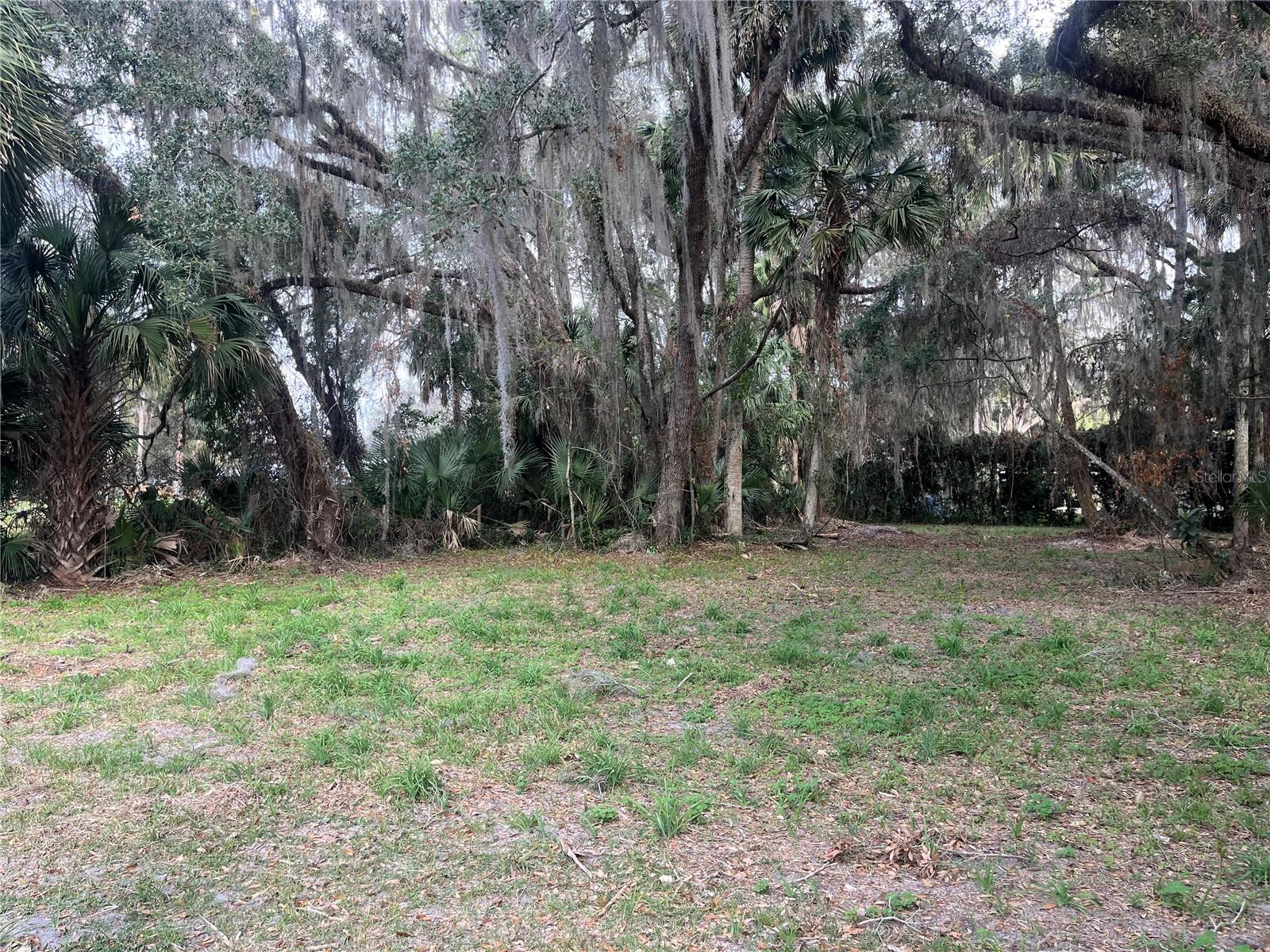 183RD AVE, HAWTHORNE, FL — photo 3