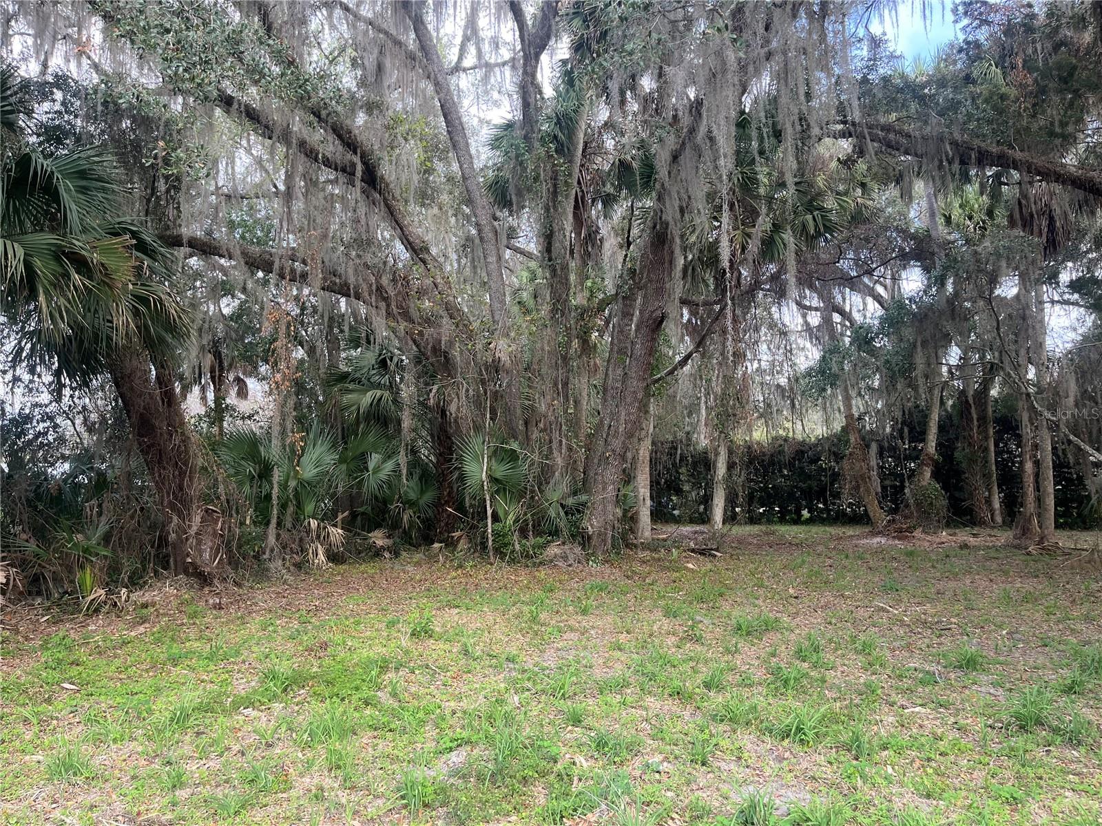 183RD AVE, HAWTHORNE, FL — photo 5