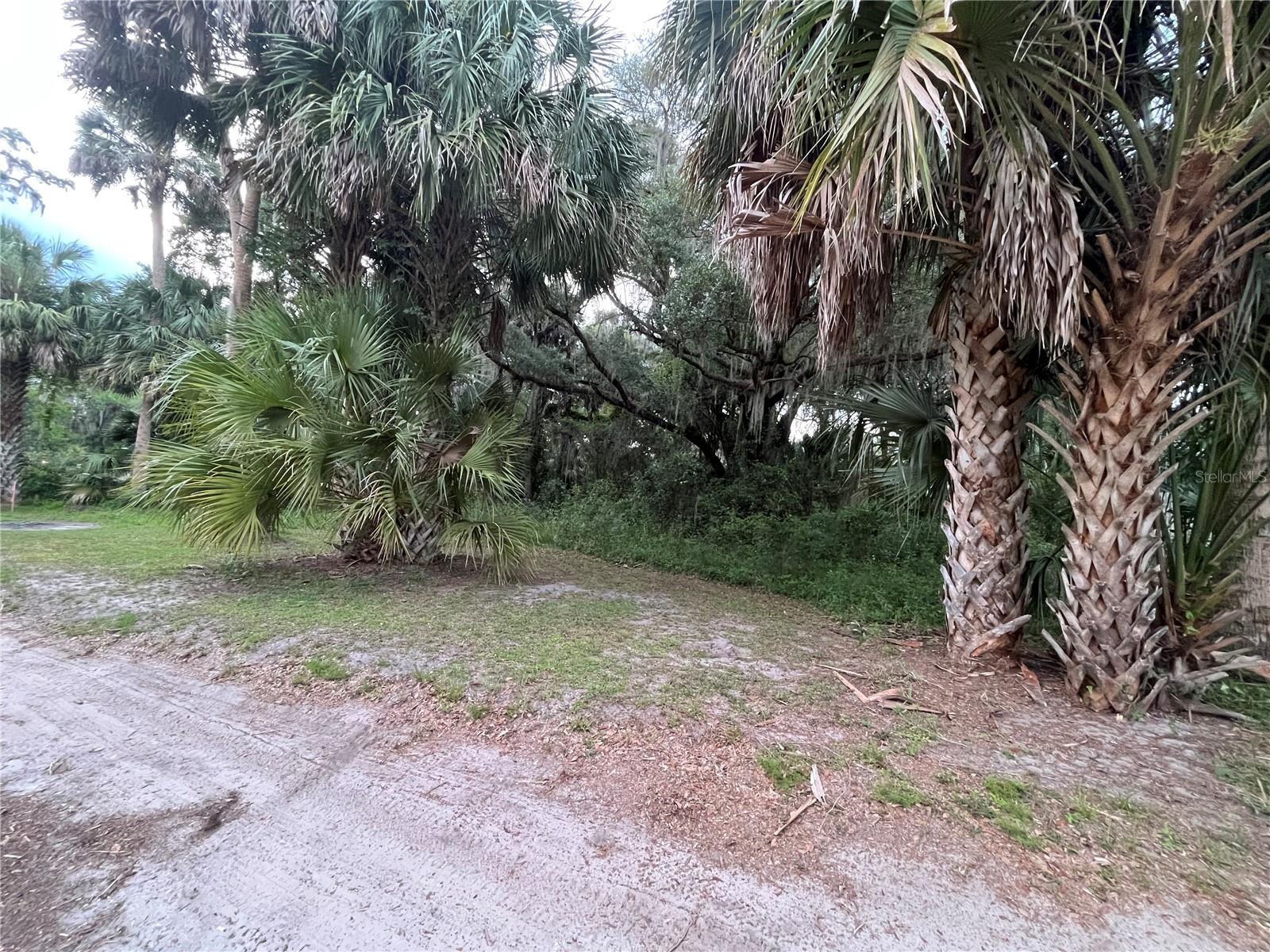 183RD AVE, HAWTHORNE, FL — photo 15