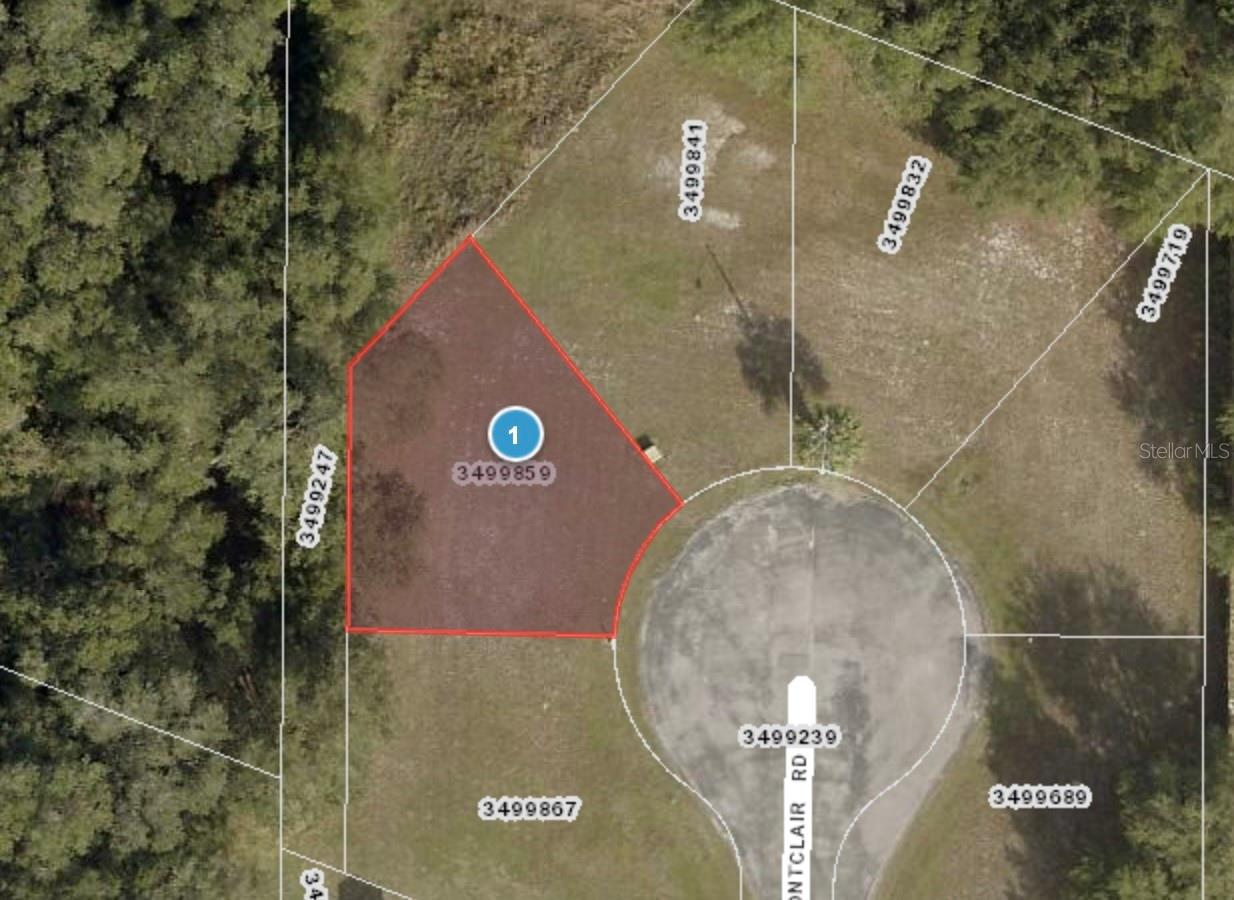 MONTCLAIR RD #21, LEESBURG, FL — photo 3