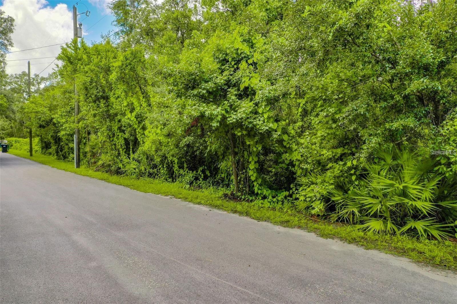 848 HAMILTON DR, ORLANDO, FL — photo 10