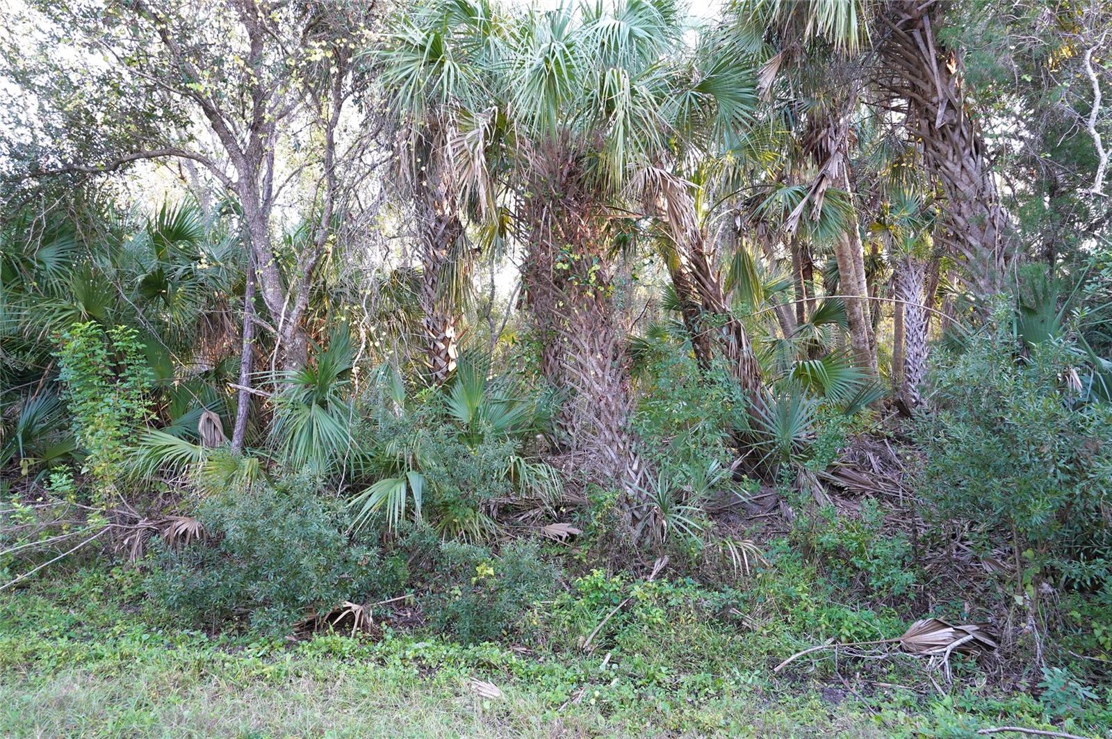 14299 CANNELL LN, PORT CHARLOTTE, FL
