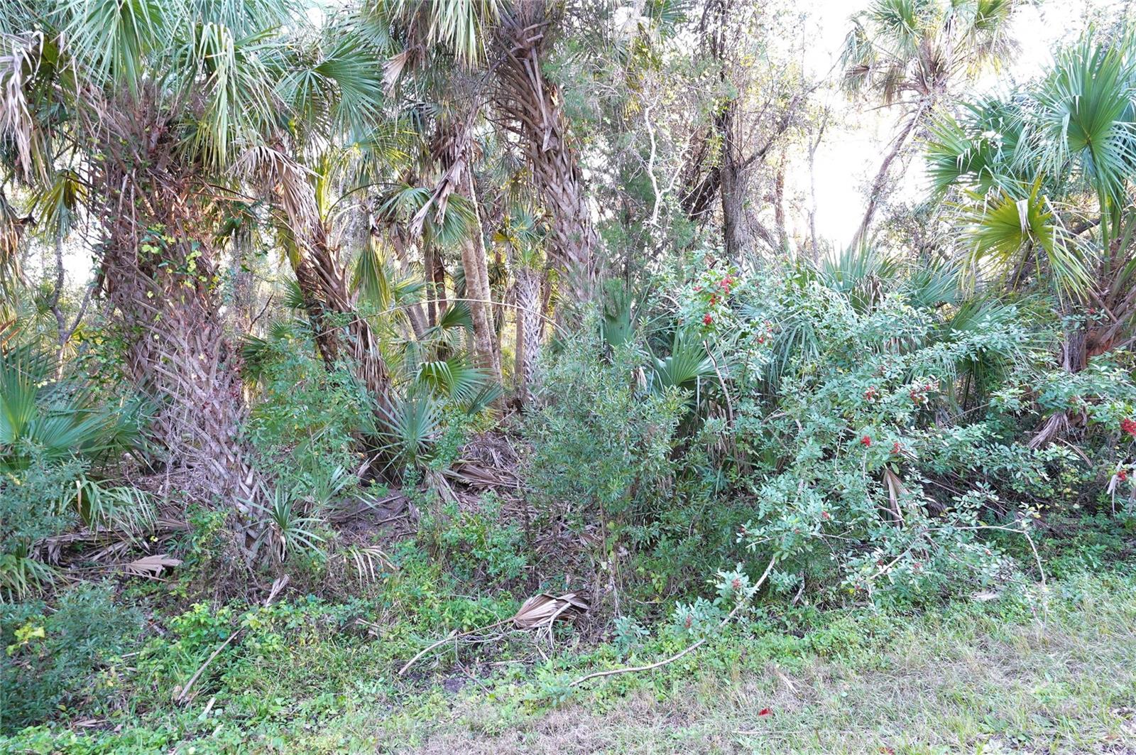 14299 CANNELL LN, PORT CHARLOTTE, FL — photo 2