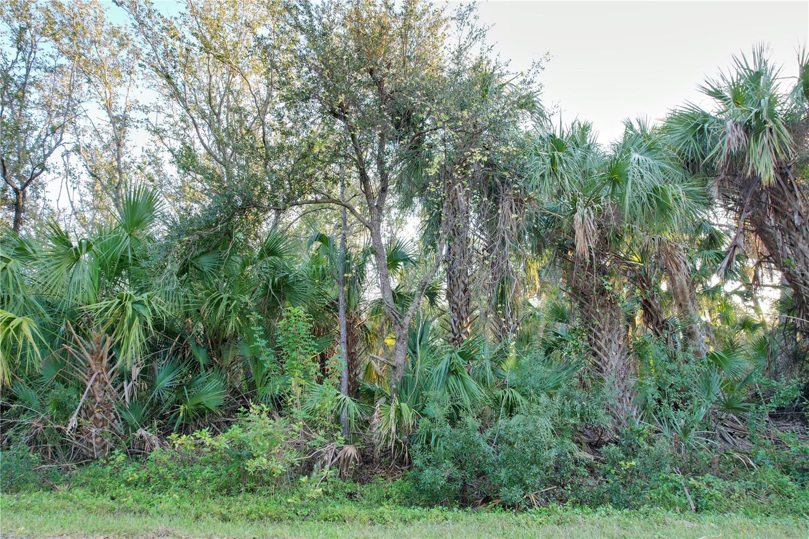 14299 CANNELL LN, PORT CHARLOTTE, FL — photo 3