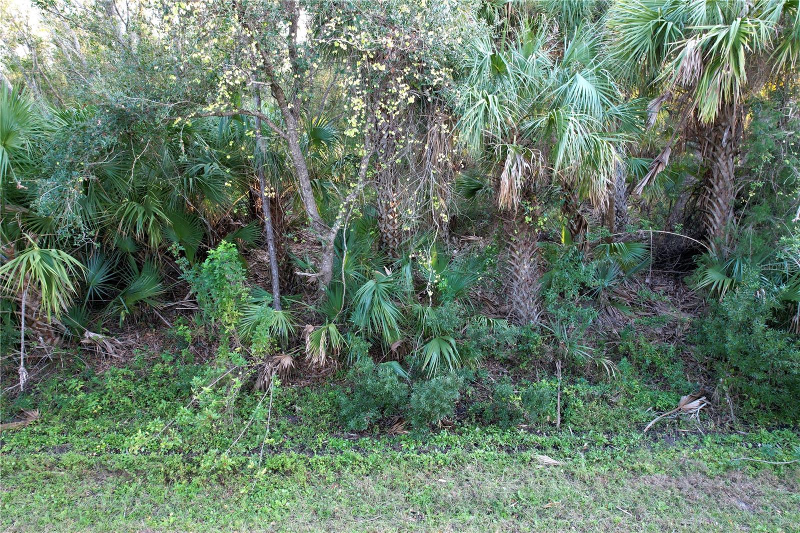 14299 CANNELL LN, PORT CHARLOTTE, FL — photo 4
