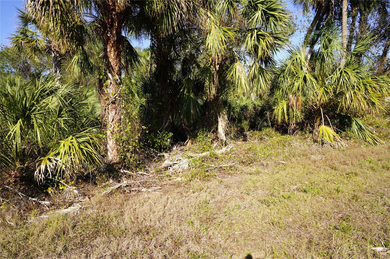 16150 ARCARO AVE, PORT CHARLOTTE, FL